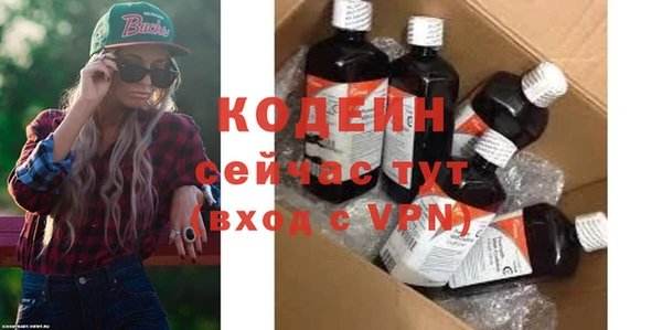 дурь Бородино