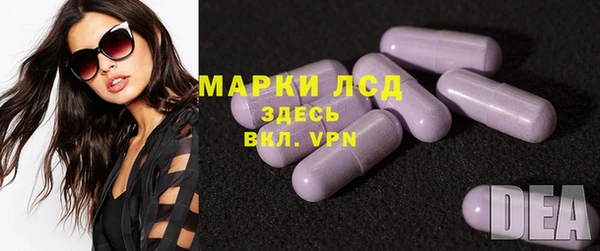 индика Бронницы