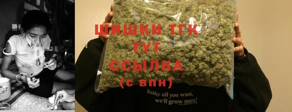 дурь Бородино
