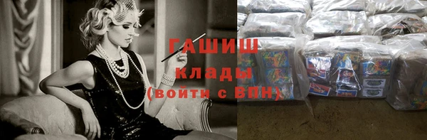 индика Бронницы