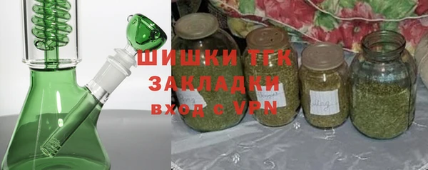дурь Бородино