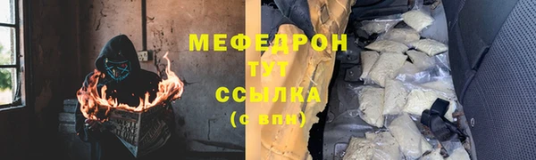 индика Бронницы