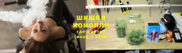 сатива Верея