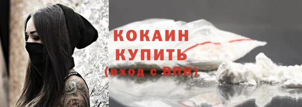 индика Бронницы
