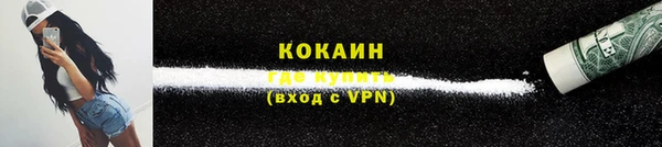 дурь Бородино