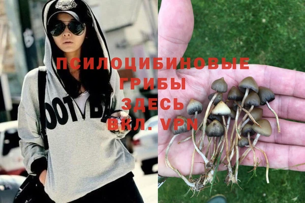 сатива Верея