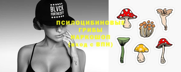 мяу мяу мука Бугульма
