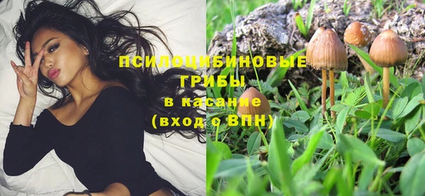 мяу мяу мука Бугульма