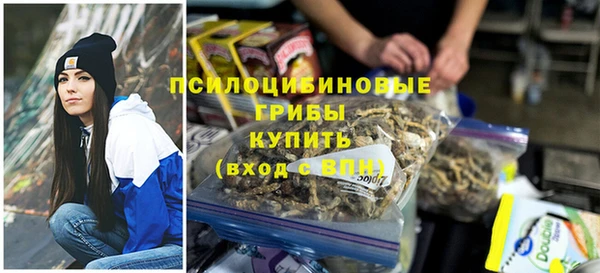сатива Верея