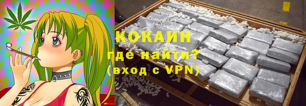 индика Бронницы
