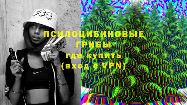 индика Бронницы