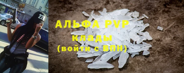 дурь Бородино