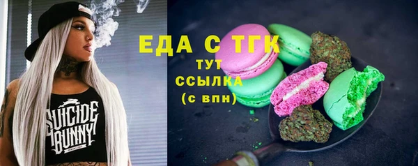 индика Бронницы
