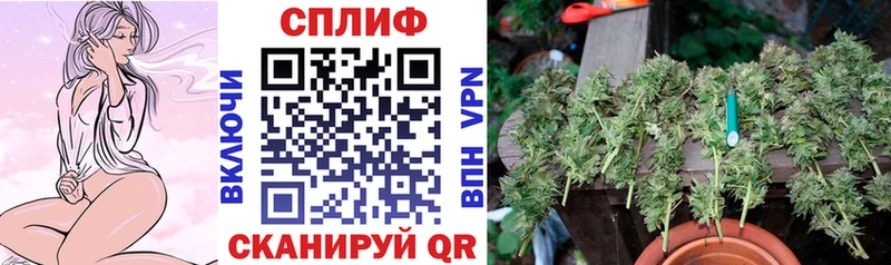 Конопля THC 21% где продают мега ONION Вязники